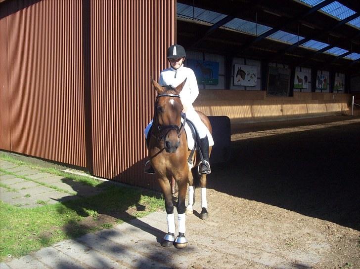 Anden særlig race simba  solgt - billede tage den 7/8-2010 billede 9