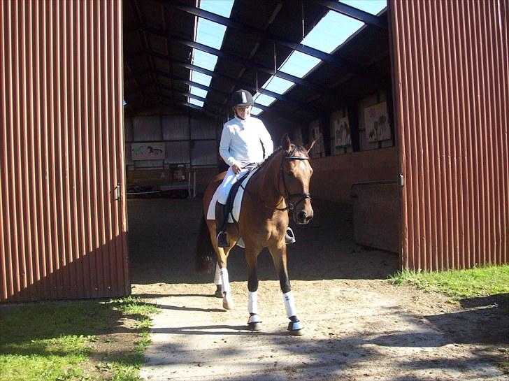 Anden særlig race simba  solgt - billede tage den 7/8-2010 billede 10