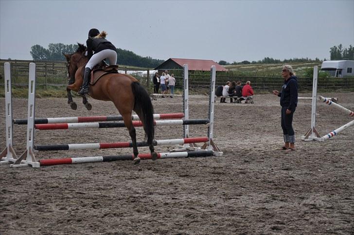 Anden særlig race zarahby <3 - opvarmning på capa :D  billede 10