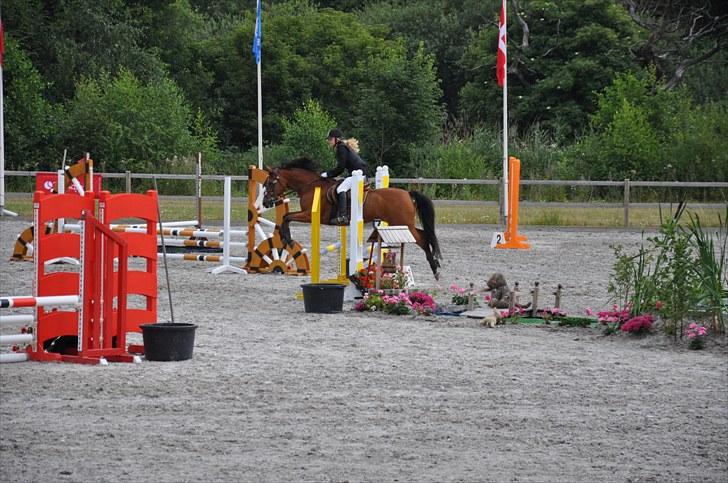 Anden særlig race zarahby <3 - stævne på capa foto: chili woldsen :) tak smukke billede 12