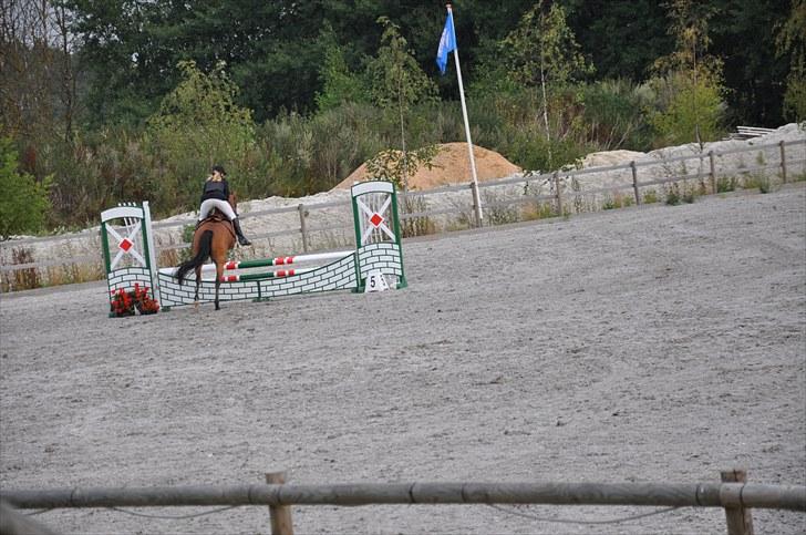 Anden særlig race zarahby <3 - mur : stævne på capa foto: chili woldsen :) billede 13