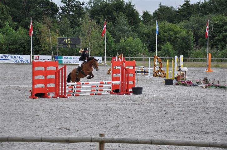 Anden særlig race zarahby <3 - hop!!!! billede 14