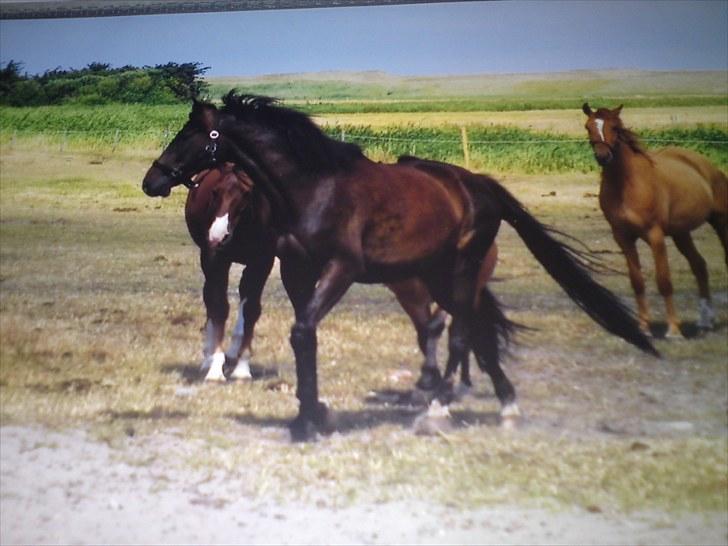 Traver Office Max - Den dag jeg fik Office<3(; billede 2