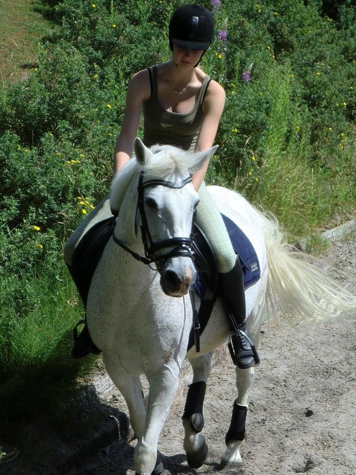 Anden særlig race Leonardo - 2. billede 2