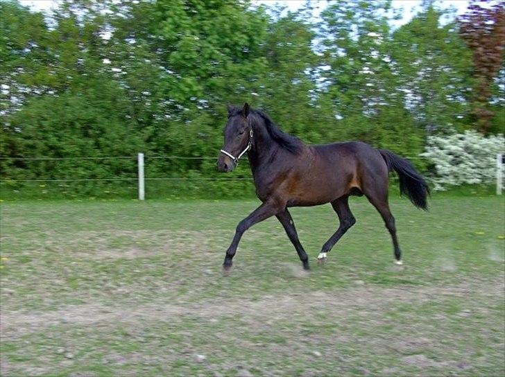 Traver Office Max - Fordi du betyder alt!<3 billede 5