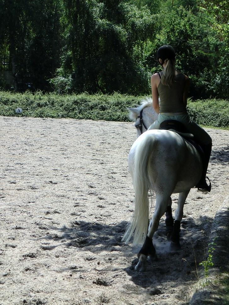 Anden særlig race Leonardo - 4. Ved ikk hvorfor men jeg elsker det her billede (; billede 4