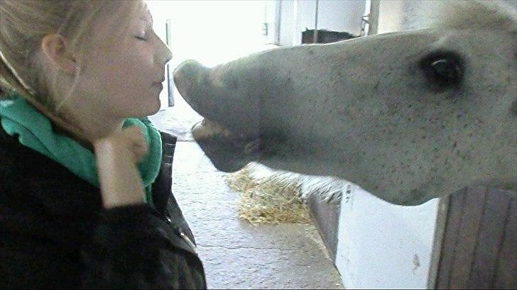 Anden særlig race Leonardo - 6. Hahaha elsker det her billede! ;D billede 6