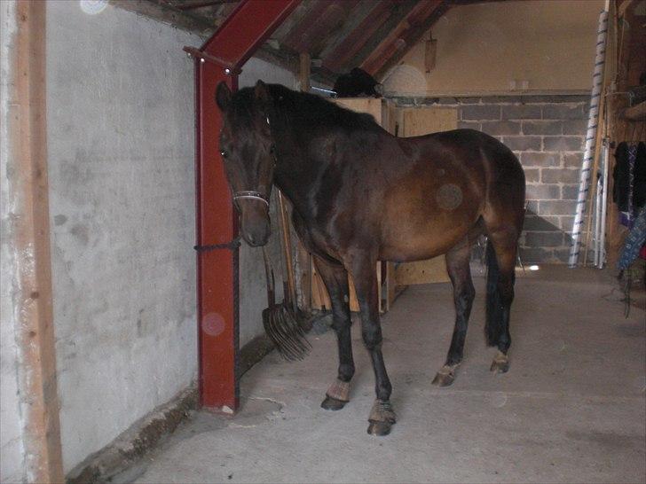 Traver Office Max - Du er det smukkeste jeg nogensinde har set :* <3 billede 8