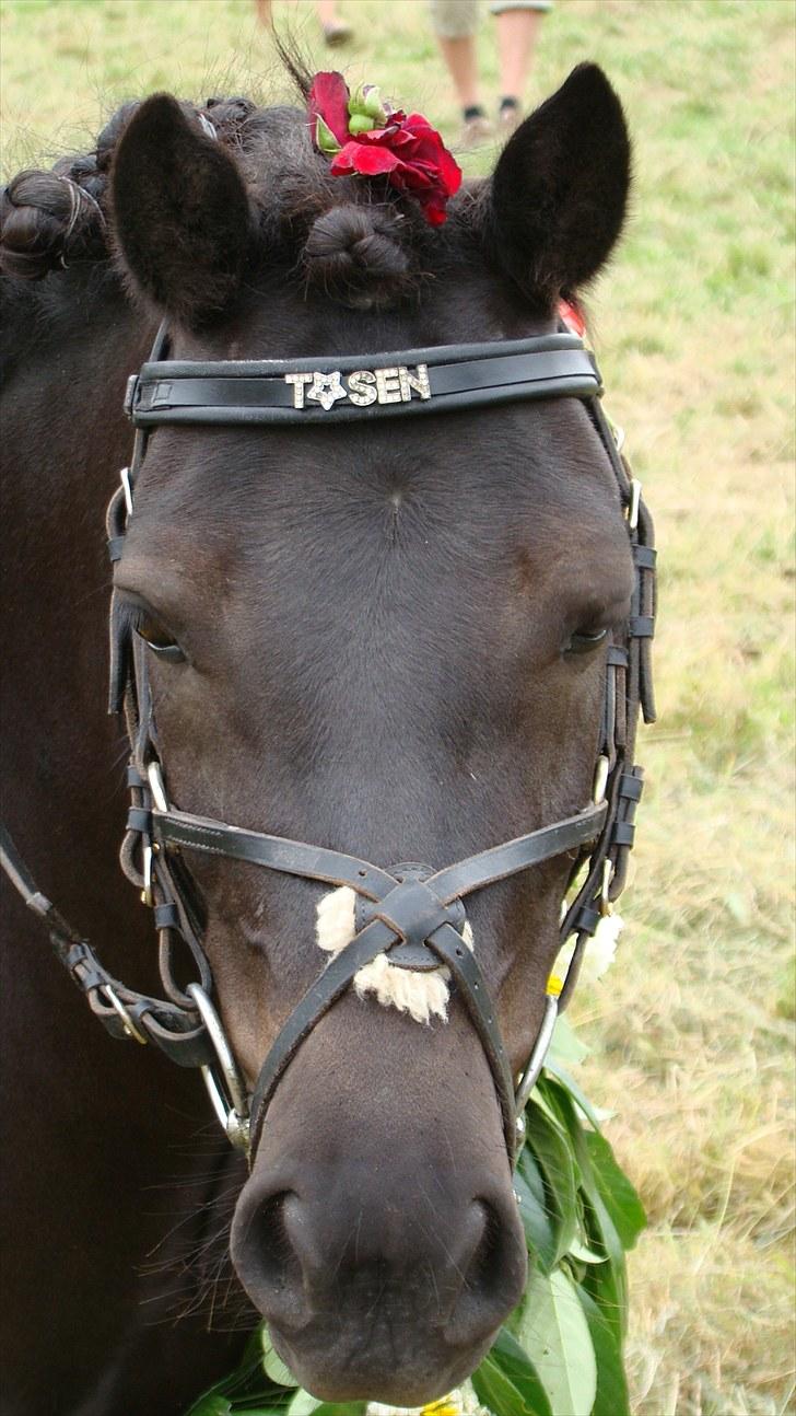 Anden særlig race Tøsen<3  billede 17