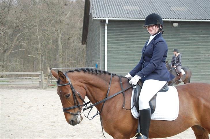 Anden særlig race Chasiopia billede 12