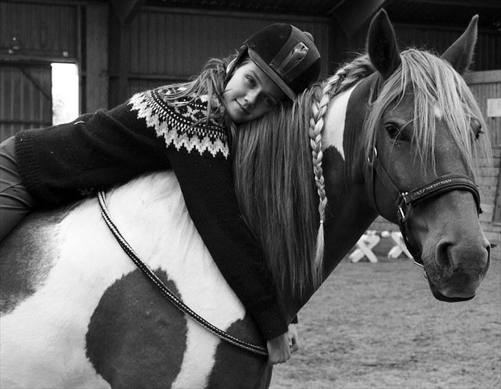 Anden særlig race Morgan - My definition of heaven is when I am with you :) - Howling Pictures . billede 10