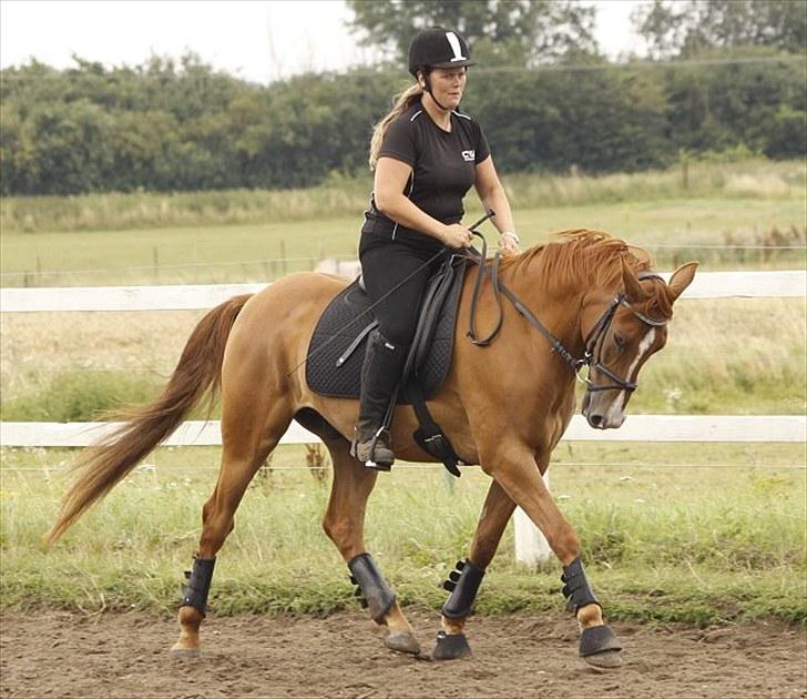 DSP Kristianborgs Basso - Foto: Jani Pedersen billede 11