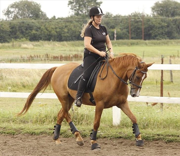 DSP Kristianborgs Basso - Foto: Jani Pedersen billede 12