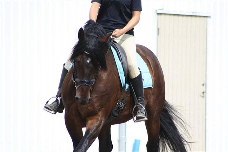 Oldenborg Malic Lilholm R.I.P - Træning sommer 2010 billede 8