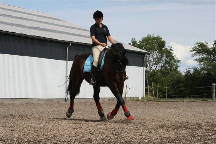 Oldenborg Malic Lilholm R.I.P - Træning sommer 2010 billede 12