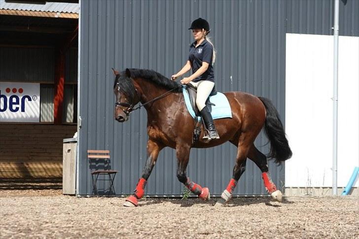 Oldenborg Malic Lilholm R.I.P - Træning sommer 2010 billede 13