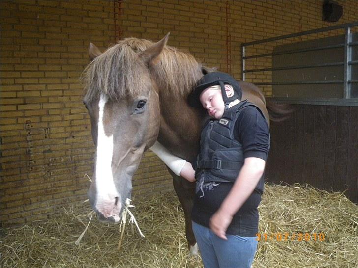 New Forest oregon billede 7