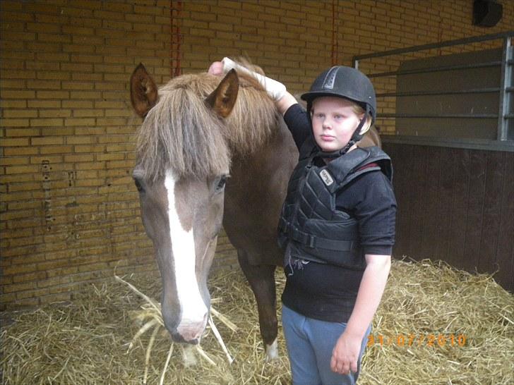 New Forest oregon billede 8