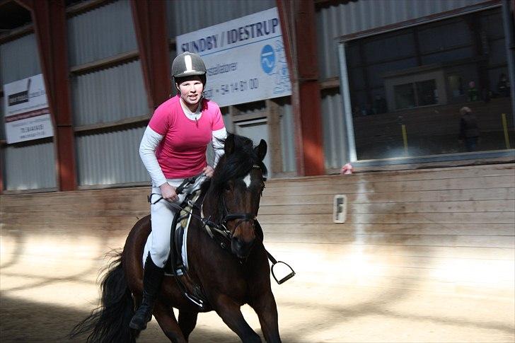 Anden særlig race Brenda/Carina billede 7