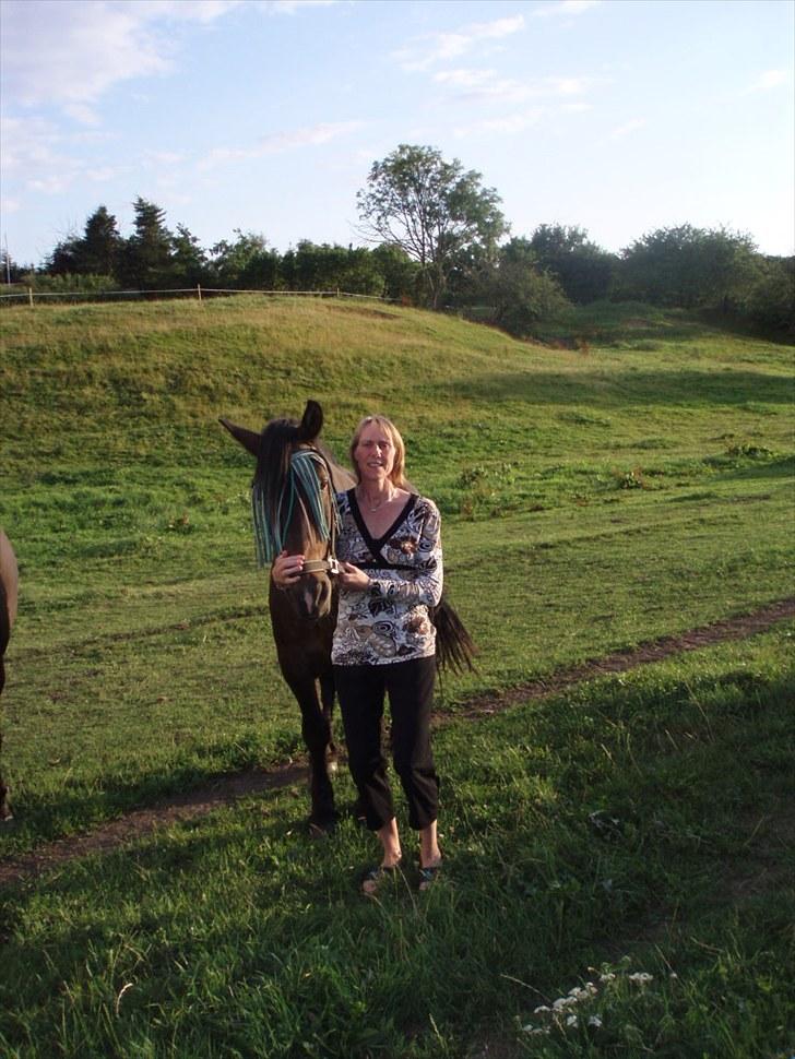 Anden særlig race Lukas *Himmelhest* - En lille nusse stund, dejligt;-) billede 9