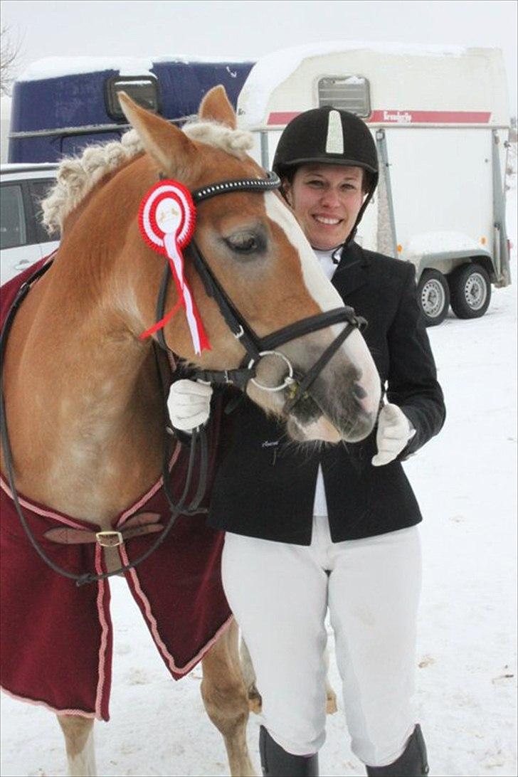 Anden særlig race amanda solgt - amanda vinder af sin første dressur stævne:) den 5-12-2010 billede 16