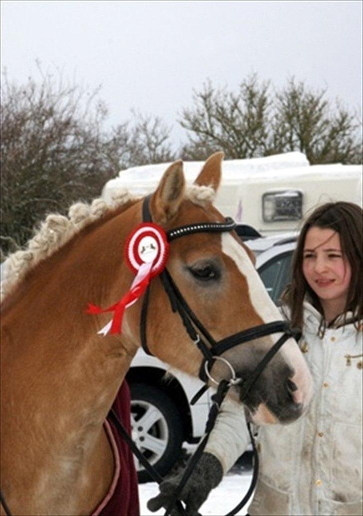 Anden særlig race amanda solgt - amanda  billede 17