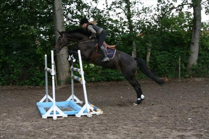 Holstener Pret A Porter (Pomfrit) - Prinsessen<33 billede 14