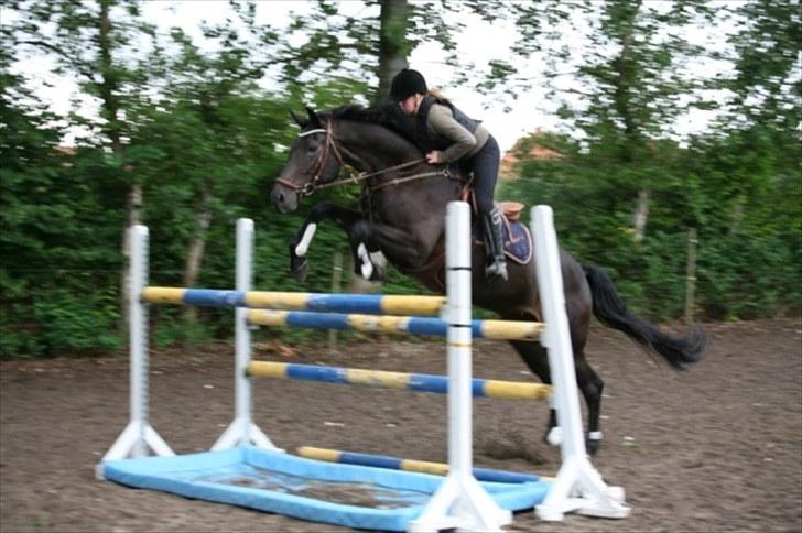 Holstener Pret A Porter (Pomfrit) - love you<33 billede 16