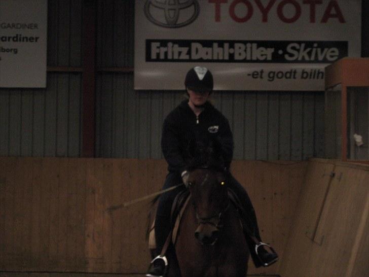 Dansk Varmblod Damgaardens Stundy - Første gang jeg rider på Stundy :D billede 3