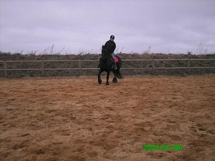 Frieser Amarins - Marianne, som rider på Amarins billede 3