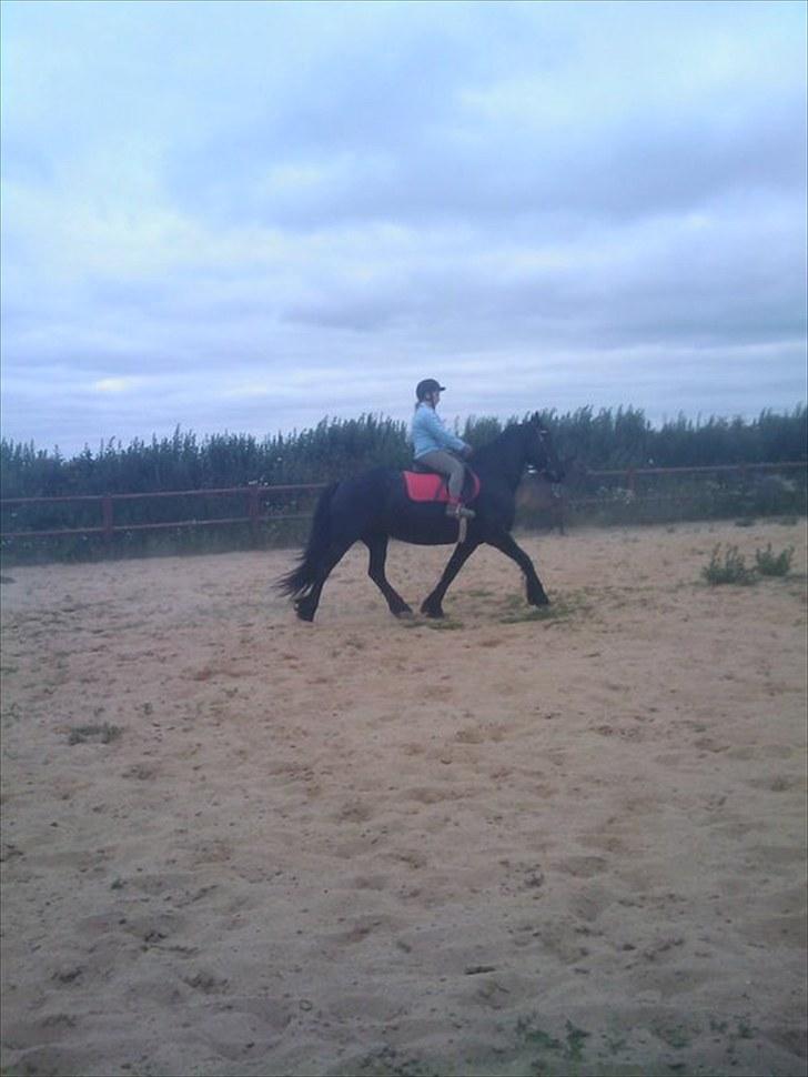 Frieser Amarins billede 4