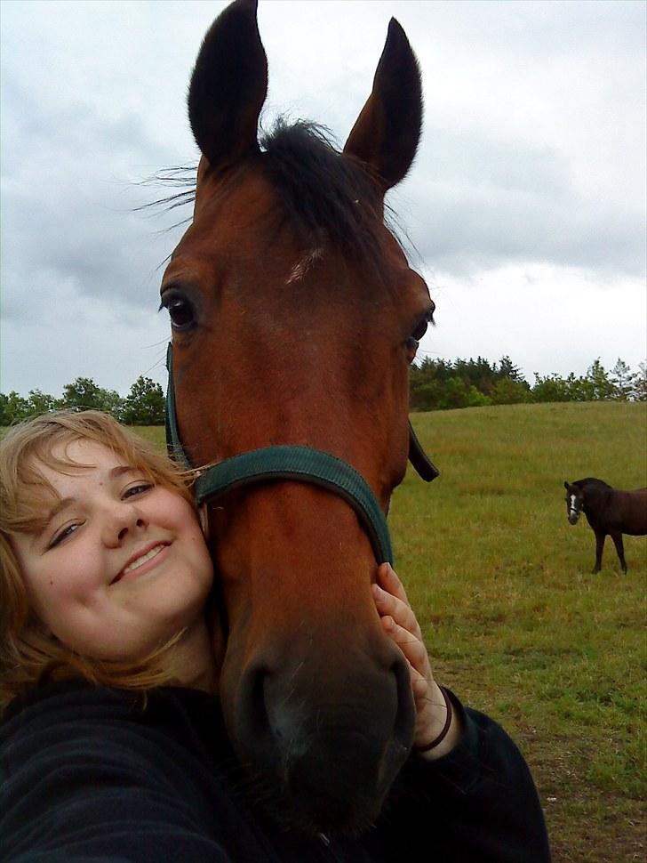 Dansk Varmblod Damgaardens Stundy - Stundy og mig <3 billede 8