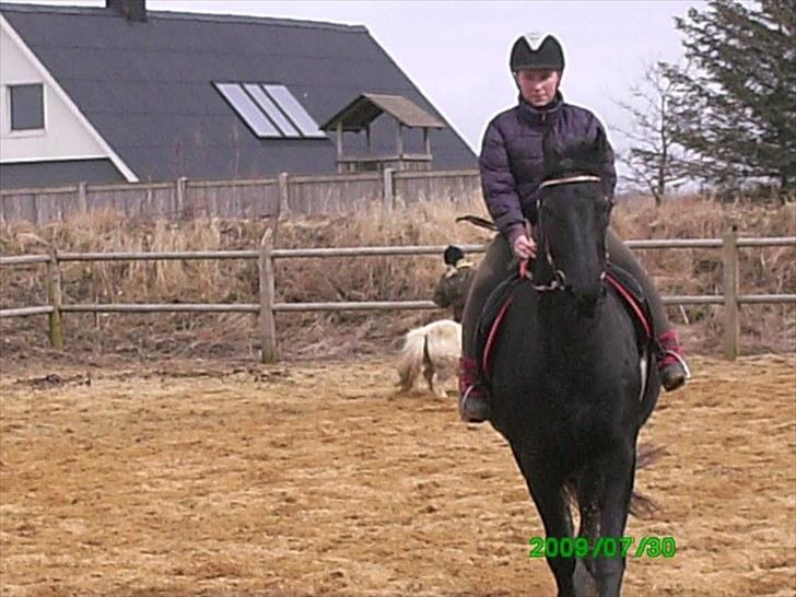 Frieser Amarins billede 6