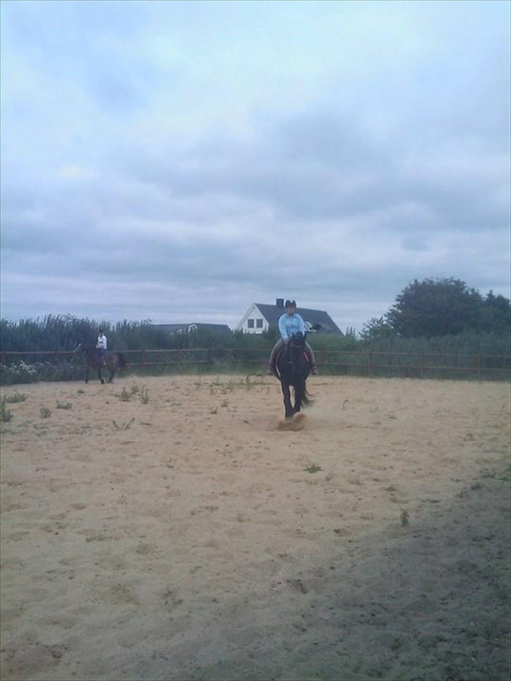 Frieser Amarins billede 7