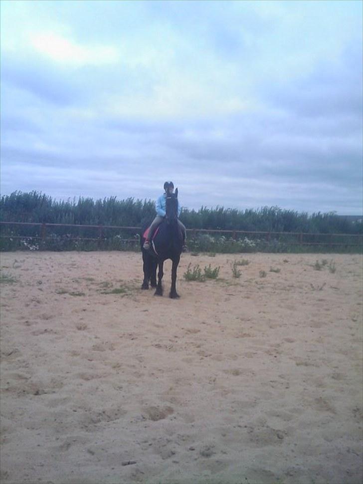 Frieser Amarins billede 9