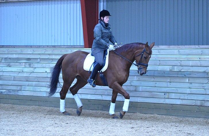 Oldenborg LINETTE HÆRUP - 5: NYT. Januar 2011. Fotograf: Kathrine H. billede 5