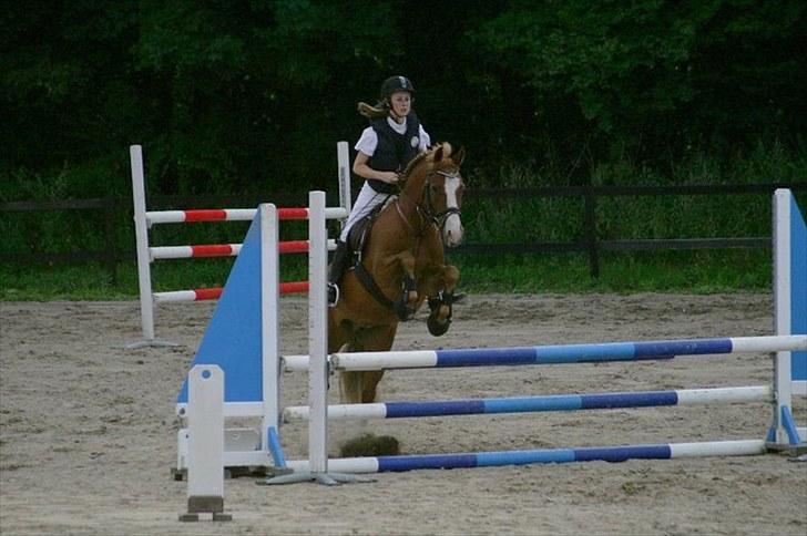 New Forest Tony<3 - Tony og jeg til stævne 80 cm den. 4 August 2010 <3 billede 20