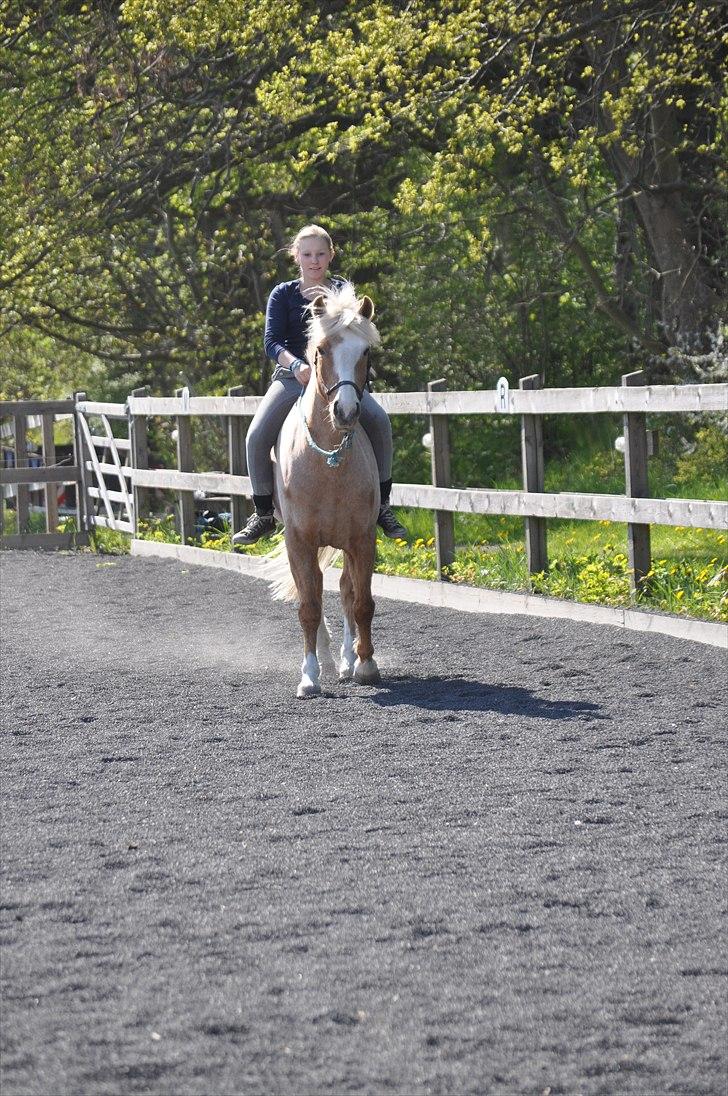 Anden særlig race Pablo - Friends we are, friends we will be, friends forever, you and me.
 billede 12