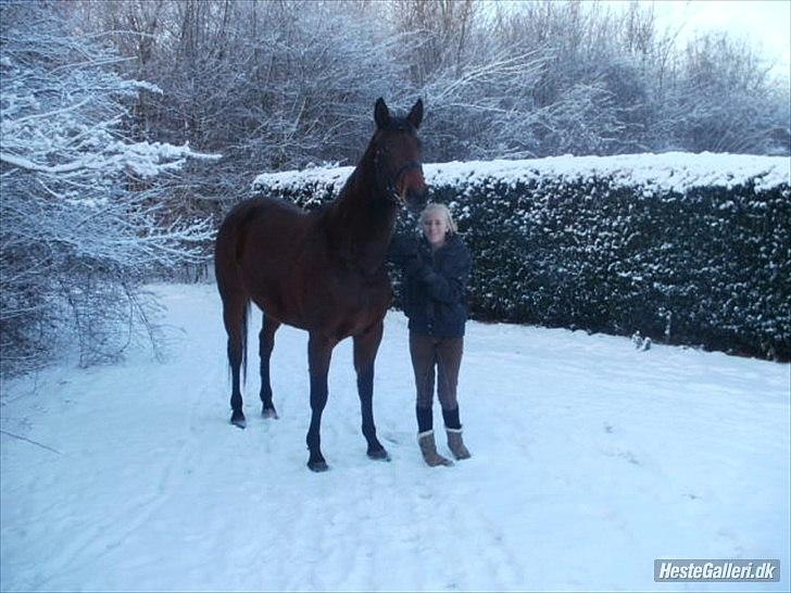 Dansk Varmblod Wolhøjgaards Cati - MYYYY LOOOOOOOOOOVE! <3.. billede 11