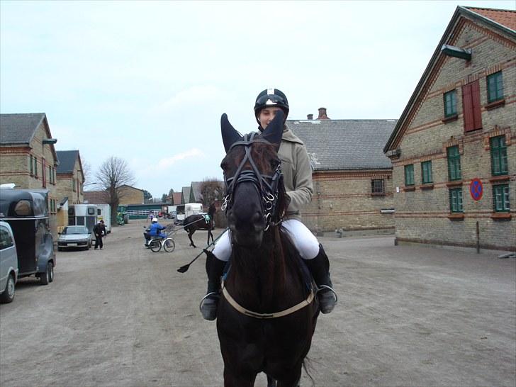 Traver Black Progress - ud til opvarmning, der er go på bassen ;) billede 20