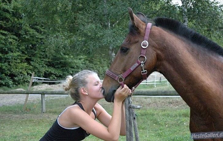 New Forest Rex <3 billede 13