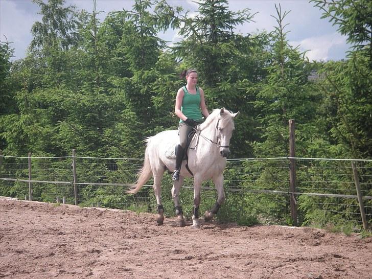 Anden særlig race Pjevs - Træning billede 2