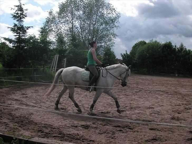 Anden særlig race Pjevs - Vi prøver at lære noget nyt  billede 3