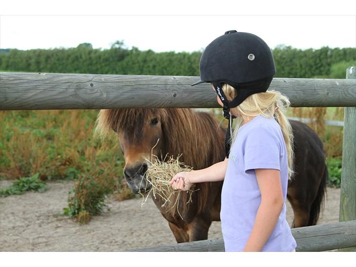 {{currentPhoto.altText}} billede {{currentPhoto.number}}