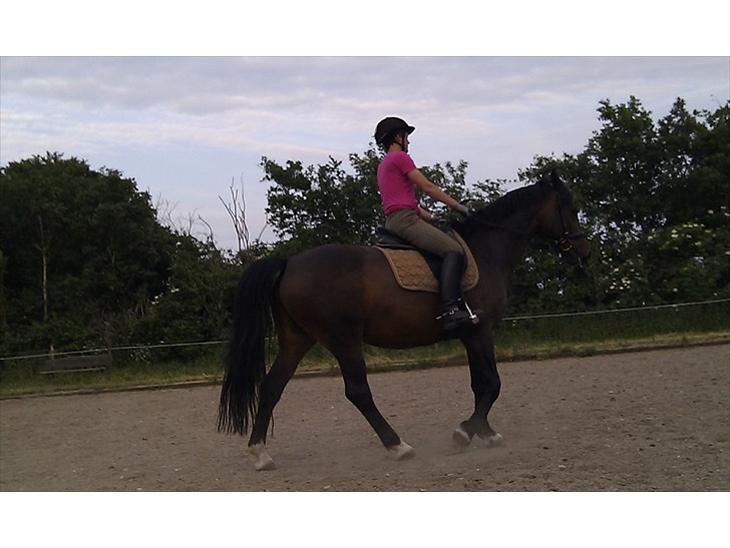 {{currentPhoto.altText}} billede {{currentPhoto.number}}