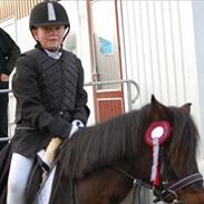 Anden særlig race Casandra (My star!<3)