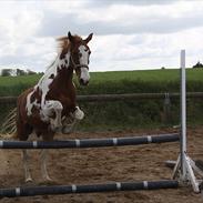 Pinto Marott's Godot (TIDLIGERE PART)
