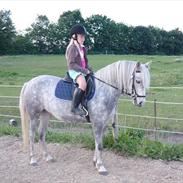 Anden særlig race Madonna