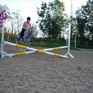 Anden særlig race Madonna