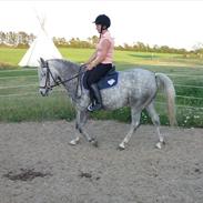 Anden særlig race Madonna